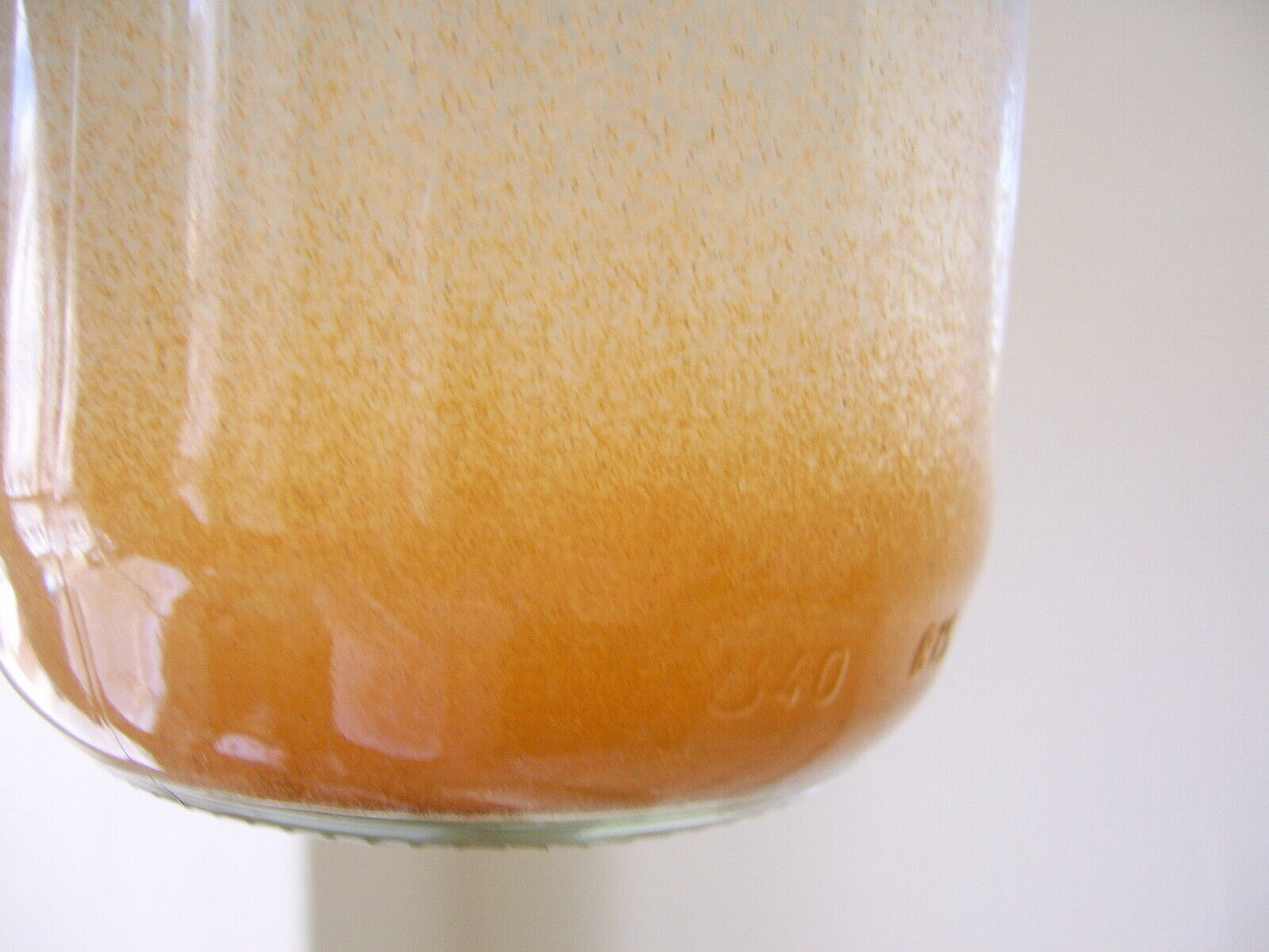 Siberian Brine Shrimp Eggs 95% Hatch Rate 20g Pack .